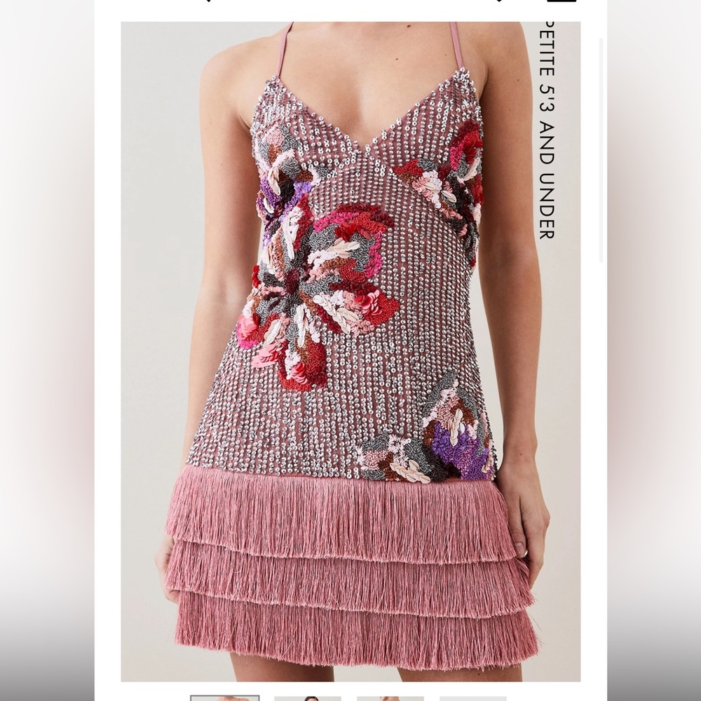 Karen Milllen Petite Beaded and Sequin Fringe Dress